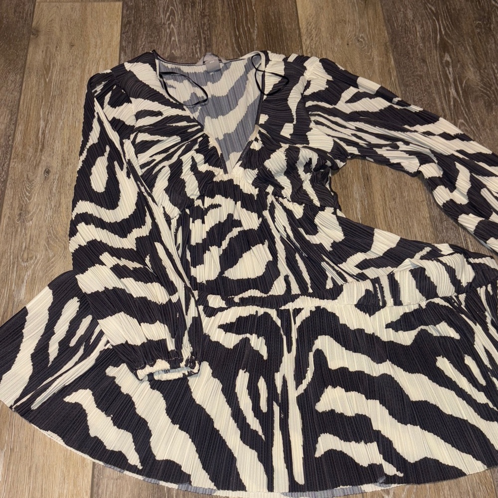 H&M Zebra Print Long Sleeve Dress